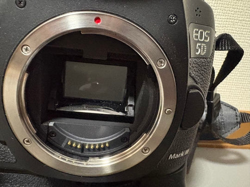 Canon Digital Slr Eos 5D