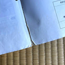 Yamaha Catalogs Manuals Rzv500R