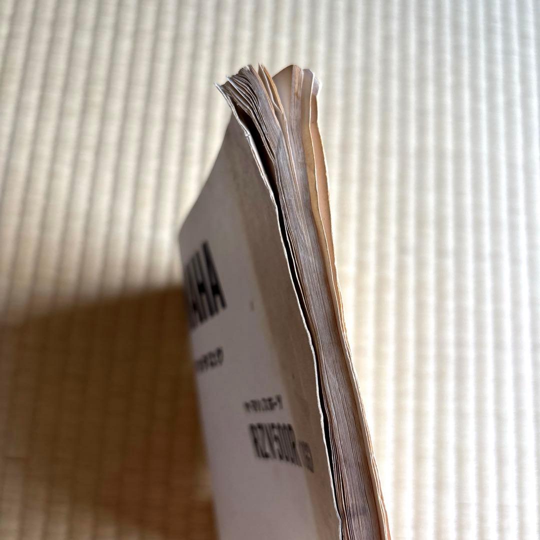 Yamaha Catalogs Manuals Rzv500R