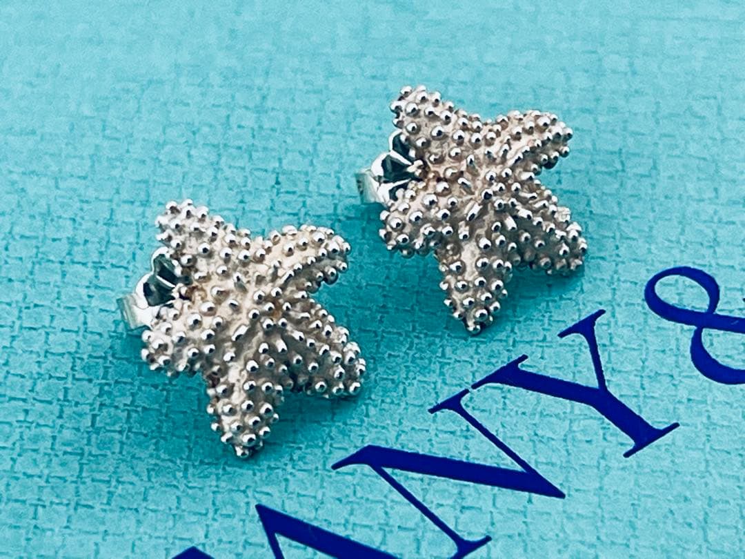 Tiffany Earrings (Pairs) D059 925