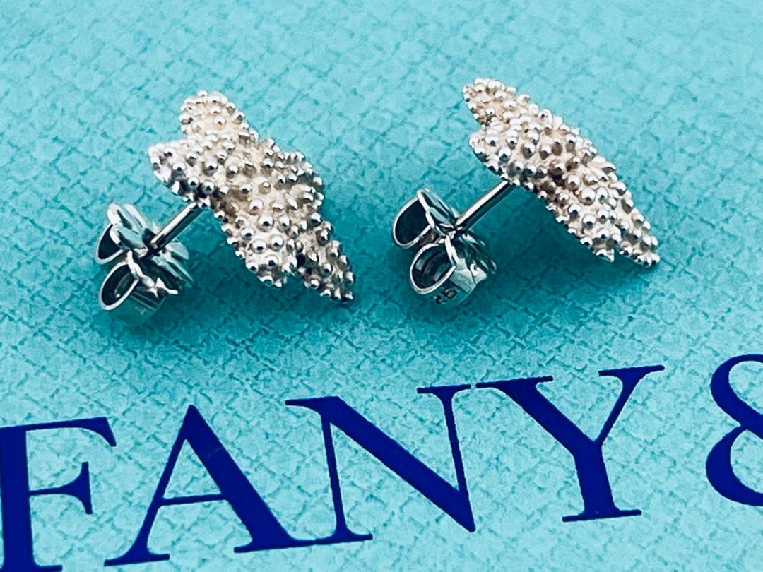 Tiffany Earrings (Pairs) D059 925