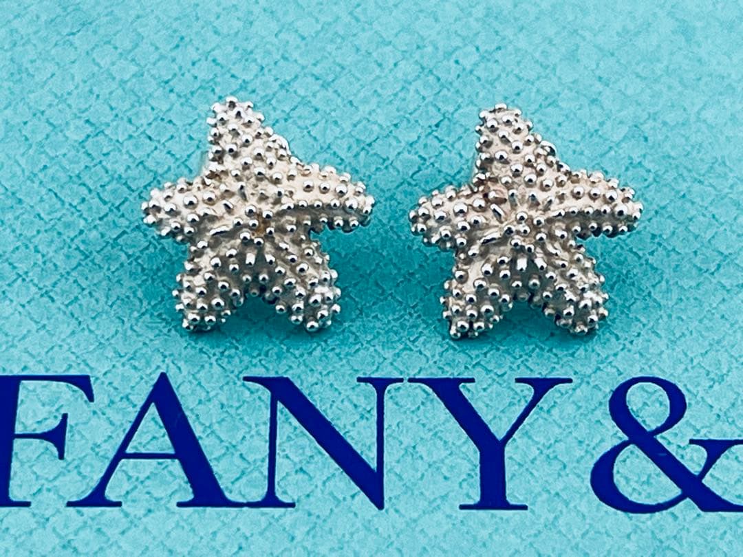 Tiffany Earrings (Pairs) D059 925
