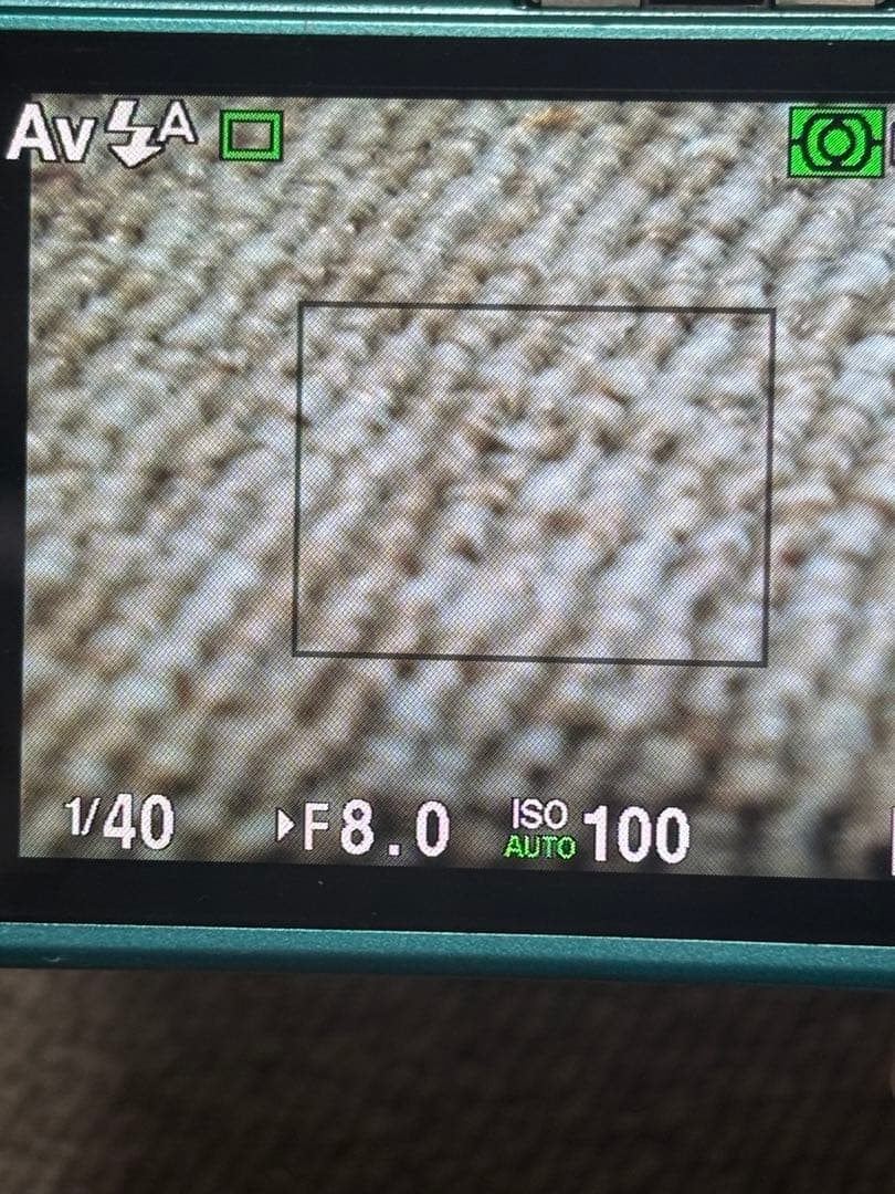 Pentax Compact Digital Cameras Q10
