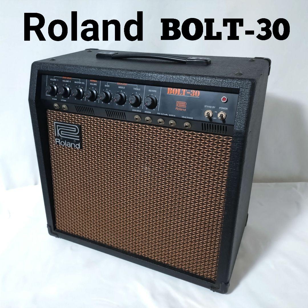 Roland Guitar Amplifiers Bolt-30 30W