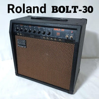 Roland Guitar Amplifiers Bolt-30 30W