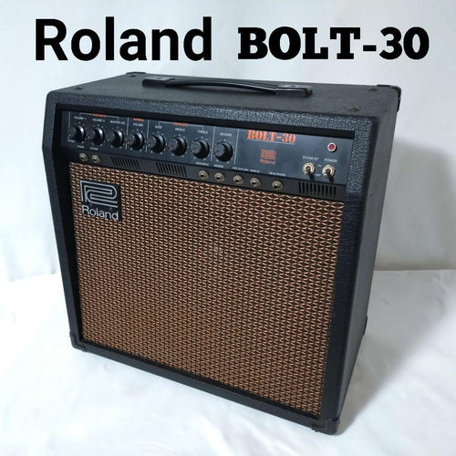 Roland Guitar Amplifiers Bolt-30 30W