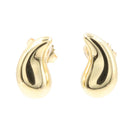 Tiffany Earrings (For Both Ears) Co