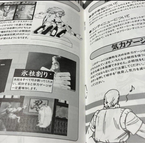 Snk Games Neogeo Art du combat