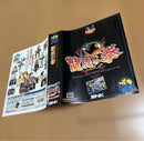 Snk Games Neogeo Art du combat