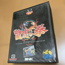 Snk Games Neogeo Art du combat