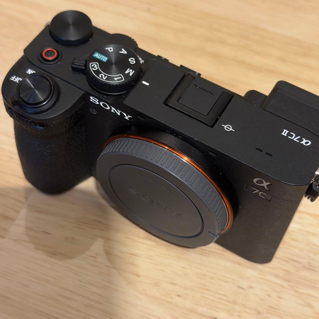Sony Mirrorless Interchangeable Lens Cameras 7C
