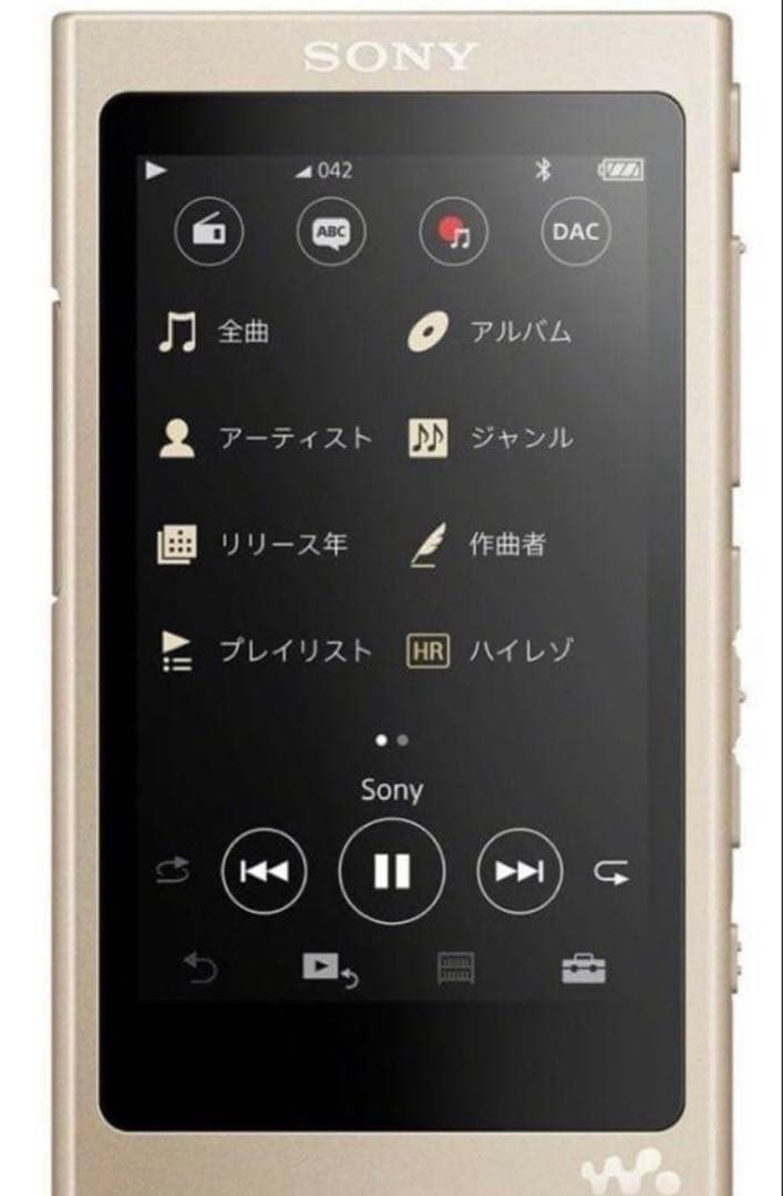Sony Digital Audio Players Nw-A45