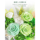 Preserved Flower Fiorifiore 4 Verdelyn 0