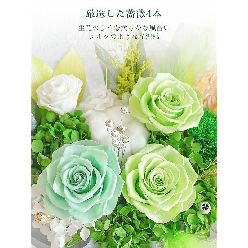 Preserved Flower Fiorifiore 4 Verdelyn 0