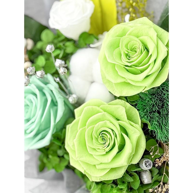 Preserved Flower Fiorifiore 4 Verdelyn 0