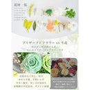 Preserved Flower Fiorifiore 4 Verdelyn 0
