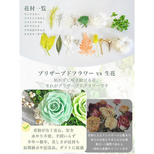 Preserved Flower Fiorifiore 4 Verdelyn 0
