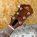 Electric Guitars Roland G-303