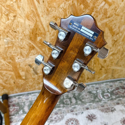 Electric Guitars Roland G-303