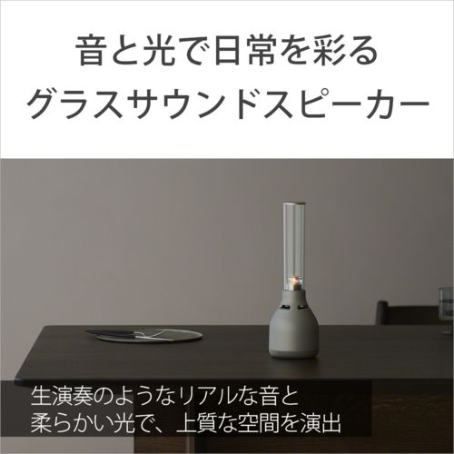 Sony Speaker Lspx-S3