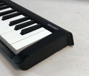 Korg Midi Keyboard Pad Microkey -25