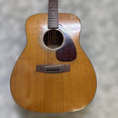 Acoustic Guitars Yamaha Fg160