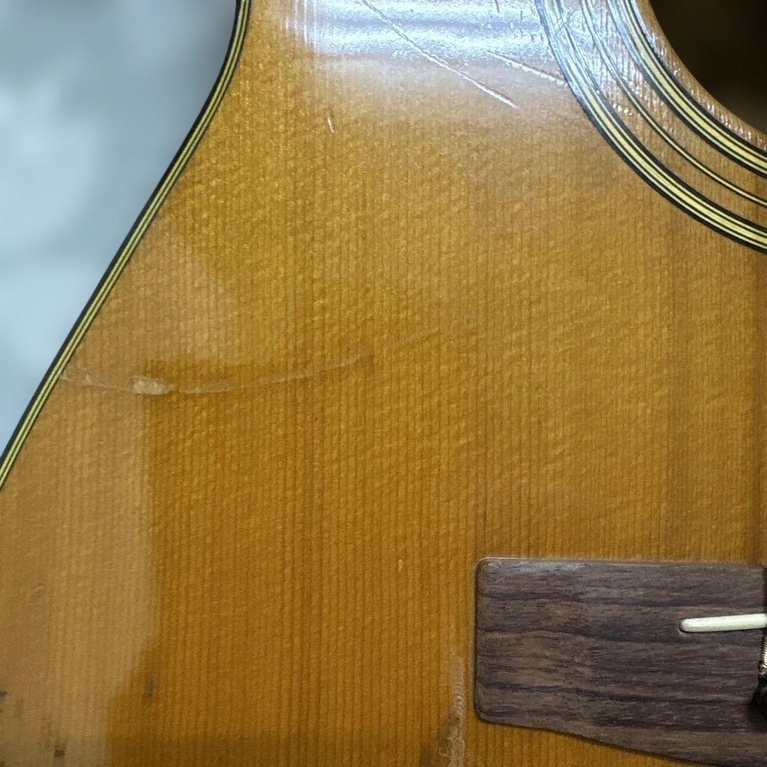 Acoustic Guitars Yamaha Fg160