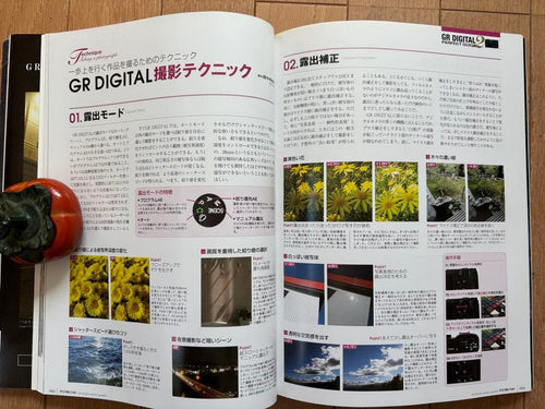 Ricoh Compact Digital Cameras Grii Gr