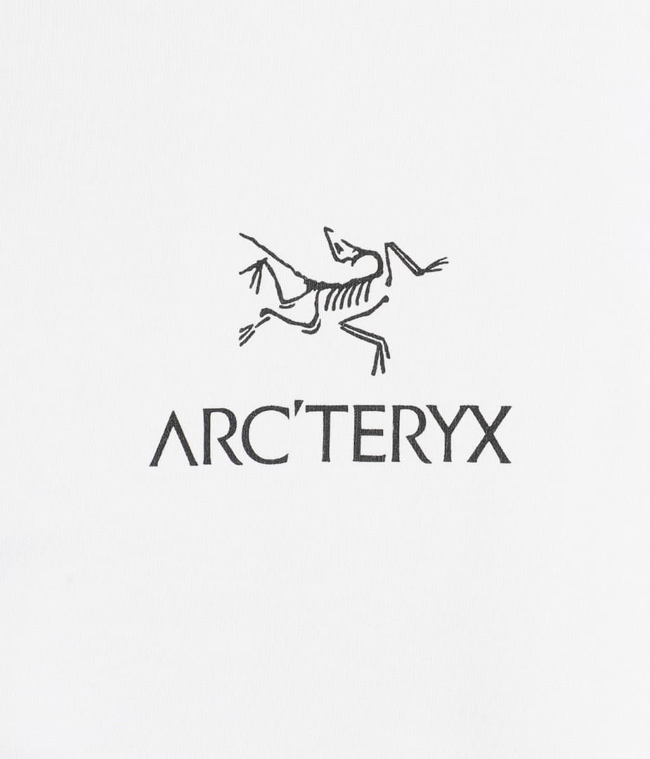 Arc'Teryx T -Shirt Arc Teryx Kragg Sl Cotton Bird Word Ss