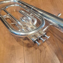 Yamaha Alto Horns