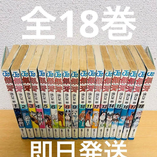 Boy'S Manga 18