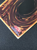 Yu -Gi -Oh! Ocg Duel Monsters Loch-Jp047 Tcg 264