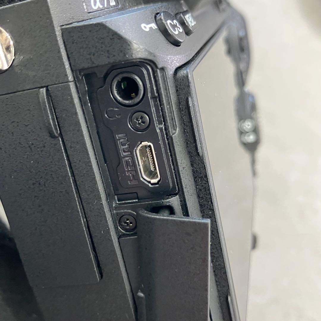 Sony Mirrorless Interchangeable Lips 7 Iii Ilce-7M3