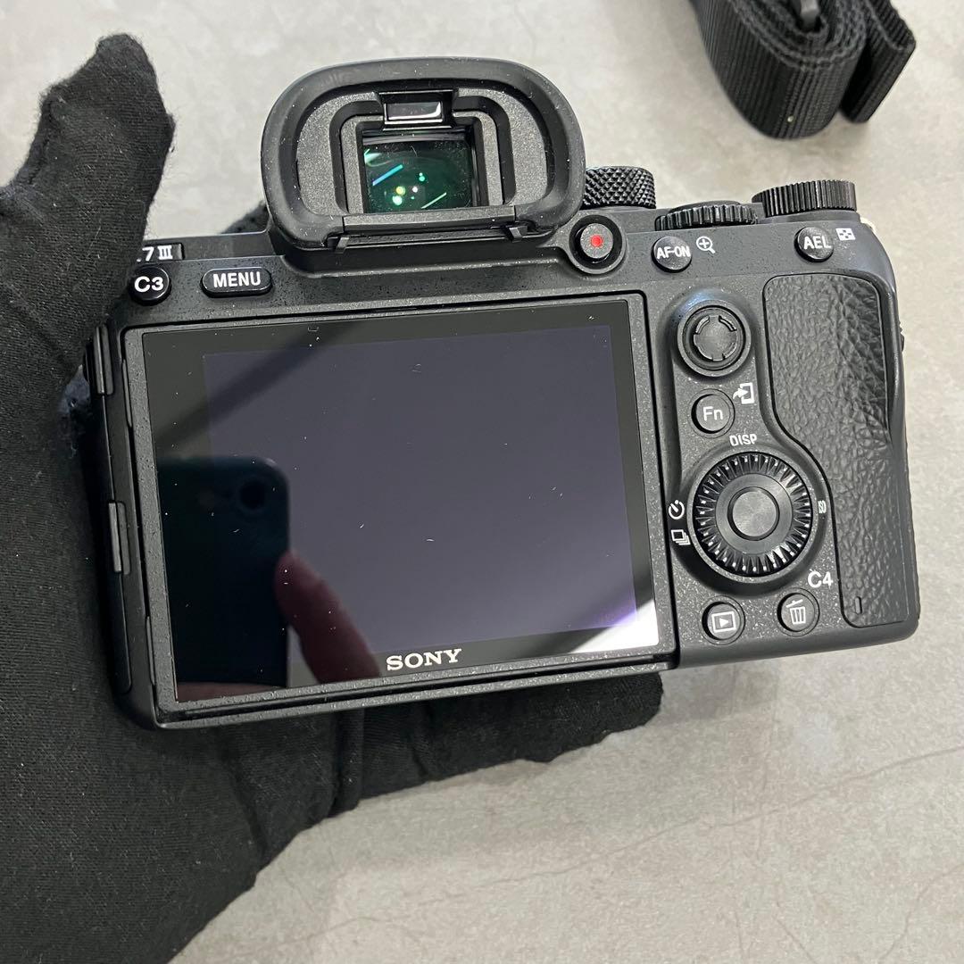 Sony Mirrorless Interchangeable Lips 7 Iii Ilce-7M3
