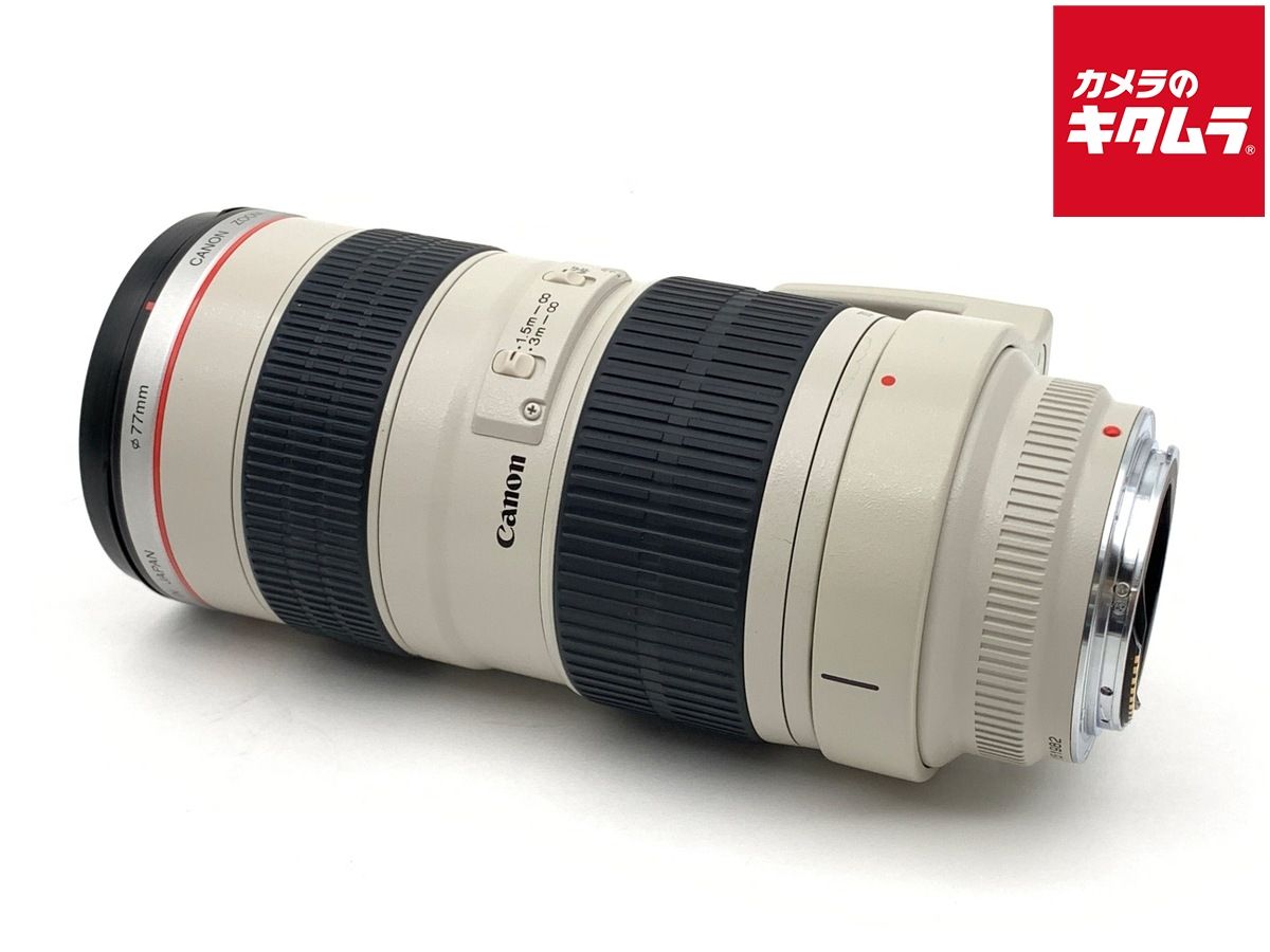 Lens (Zoom) Ef70-200Mm F2.8L Usm