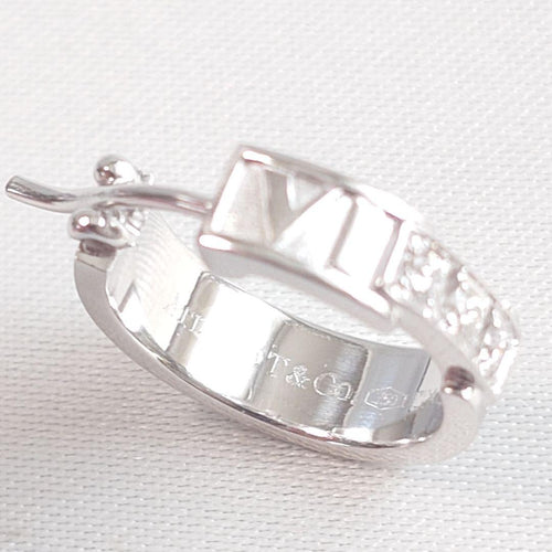 Tiffany Earrings (Single) 7699