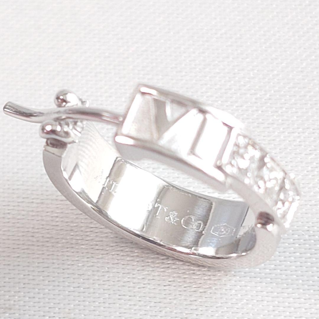 Tiffany Earrings (Single) 7699