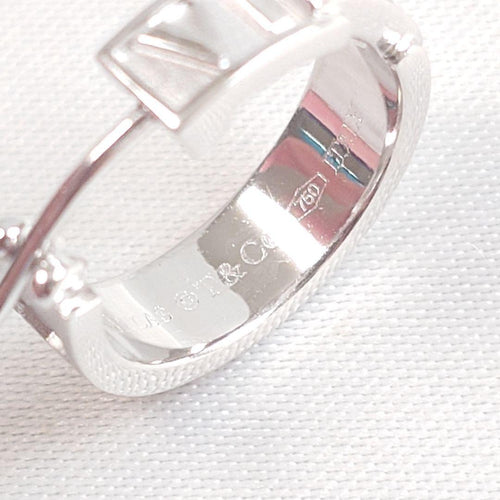 Tiffany Earrings (Single) 7699