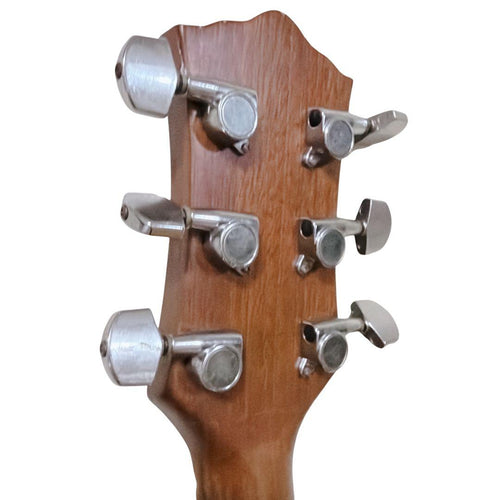 Acoustic Guitars Dear Dac-480E