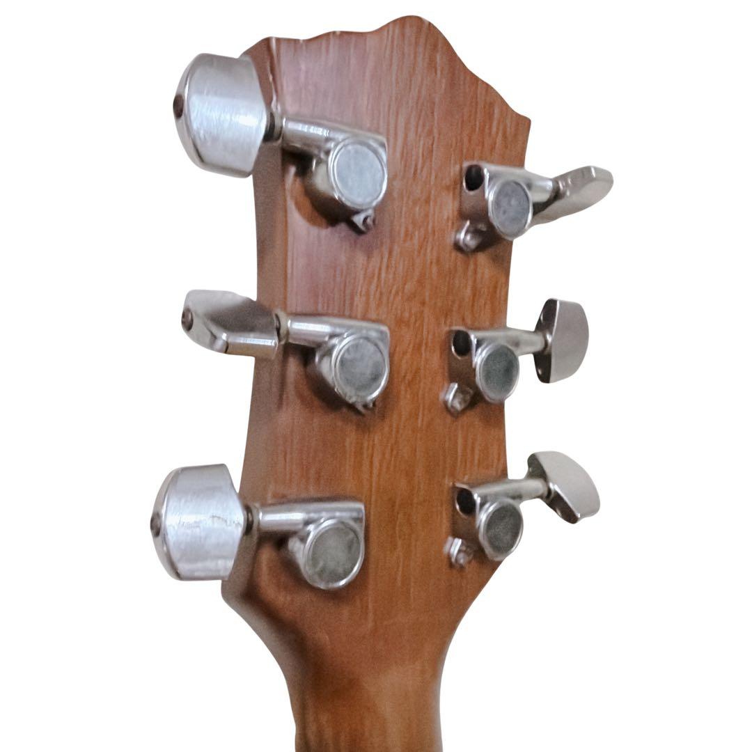 Acoustic Guitars Dear Dac-480E