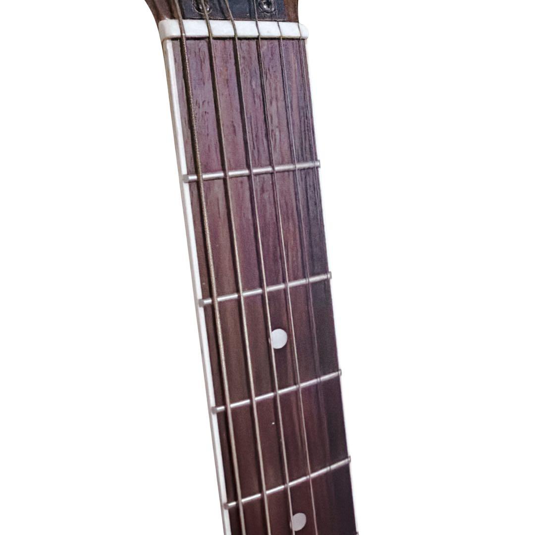 Acoustic Guitars Dear Dac-480E