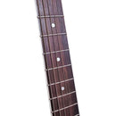 Acoustic Guitars Dear Dac-480E