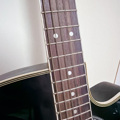 Acoustic Guitars Dear Dac-480E