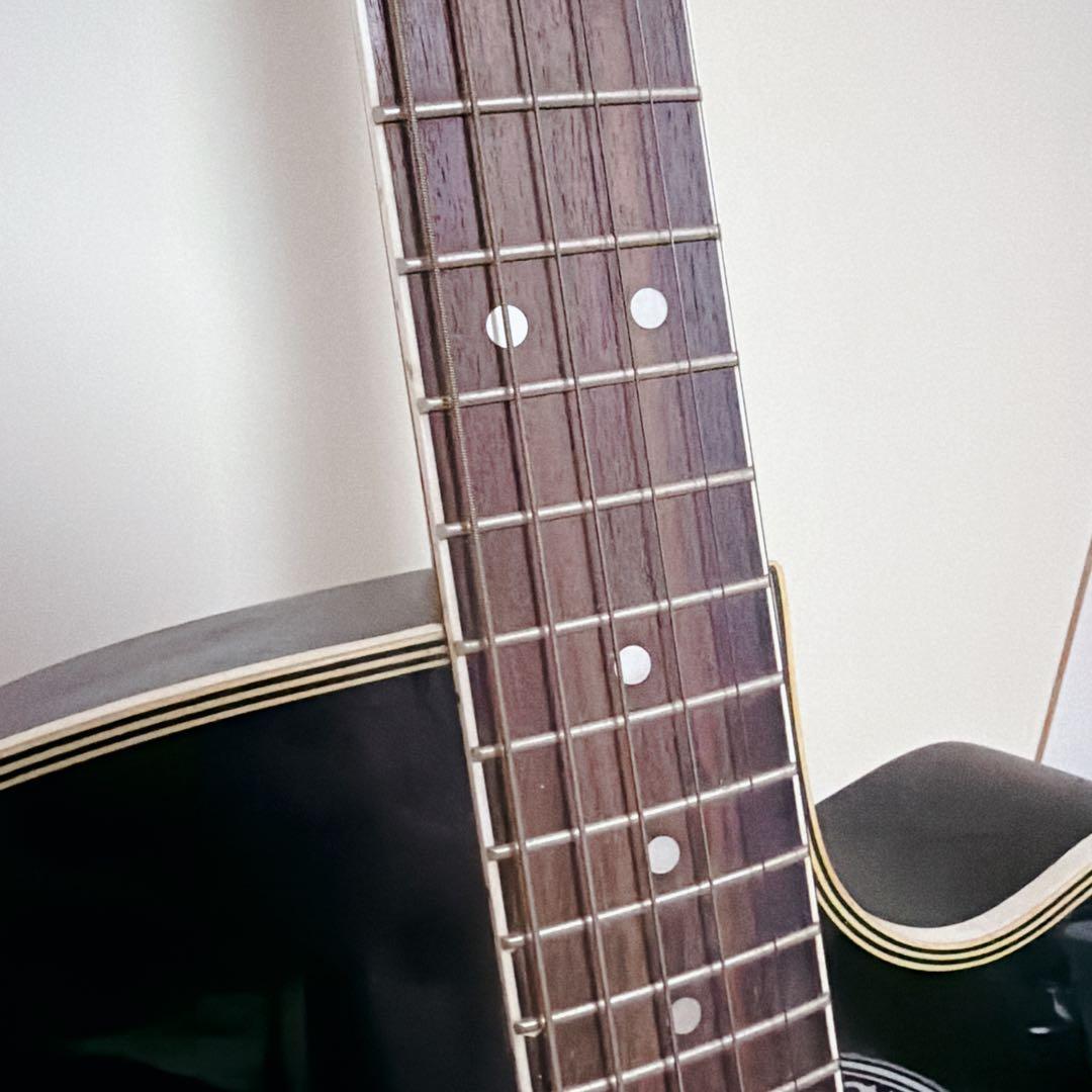 Acoustic Guitars Dear Dac-480E