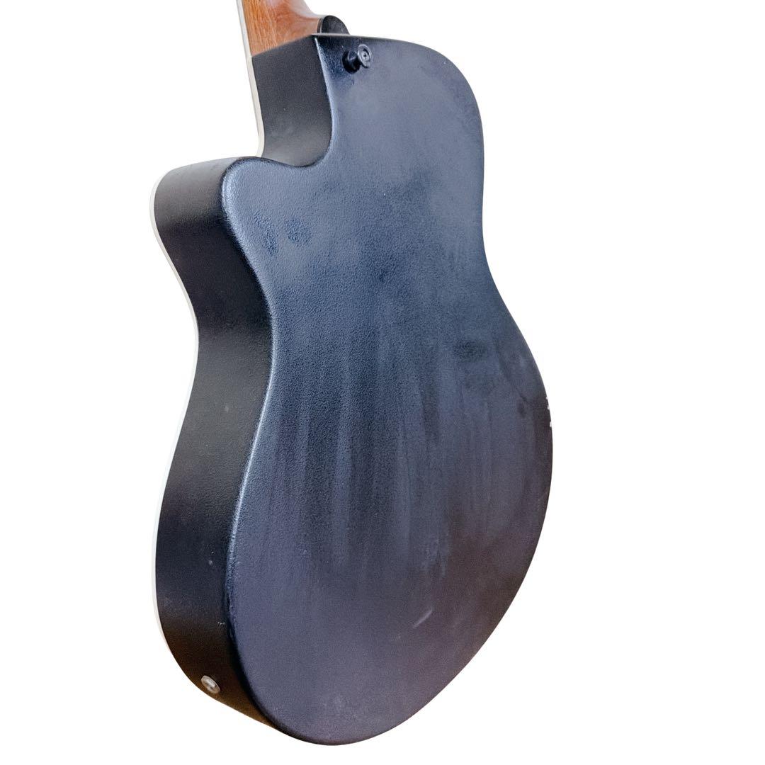 Acoustic Guitars Dear Dac-480E