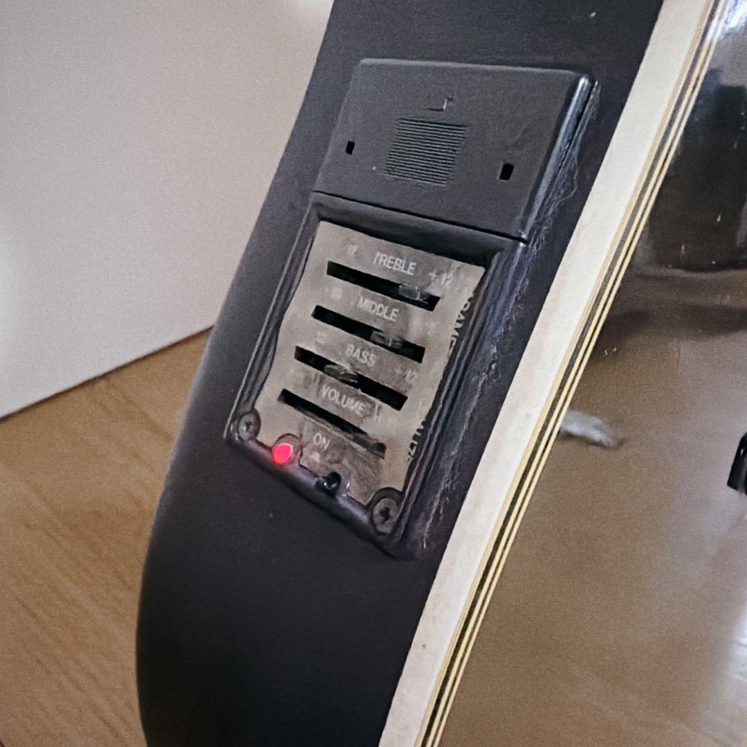 Acoustic Guitars Dear Dac-480E