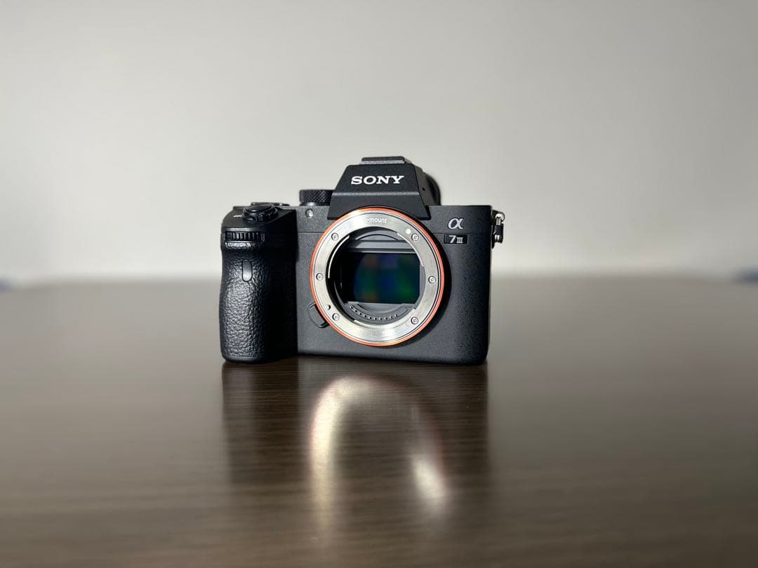 Mirrorless Interchangeable Lens Cameras Sony 7 Iii