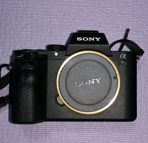 Sony Mirrorless Interchangeable Lens Cameras @7