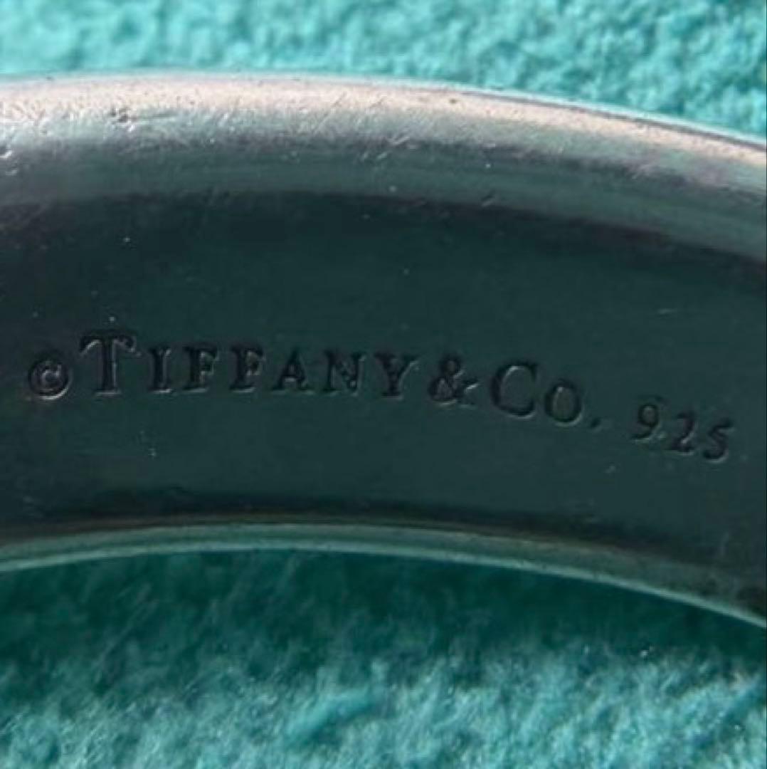 Tiffany Earrings (Single) 925