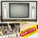 Sanyo Crt Tv Video 19-W77